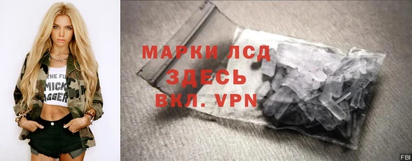 гидропоника Гусев
