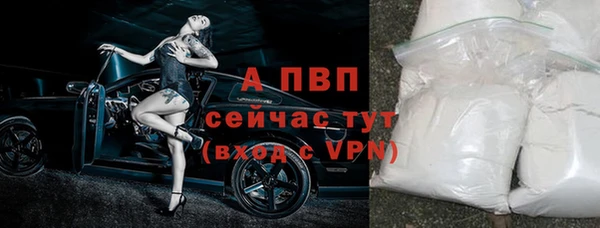 гидропоника Гусев