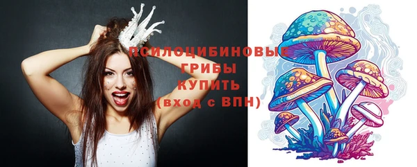 метамфетамин Гусь-Хрустальный