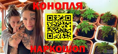 прущие грибы Рузаевка