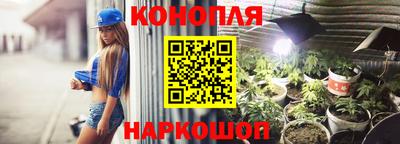 прущие грибы Рузаевка