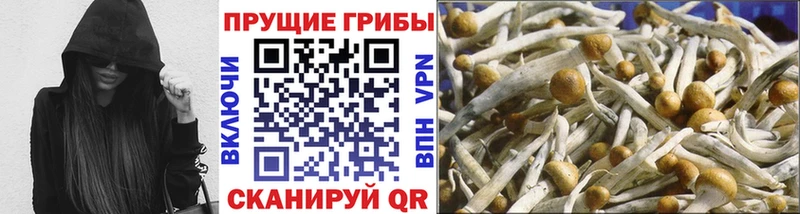 mega рабочий сайт  Электросталь  Галлюциногенные грибы Cubensis 