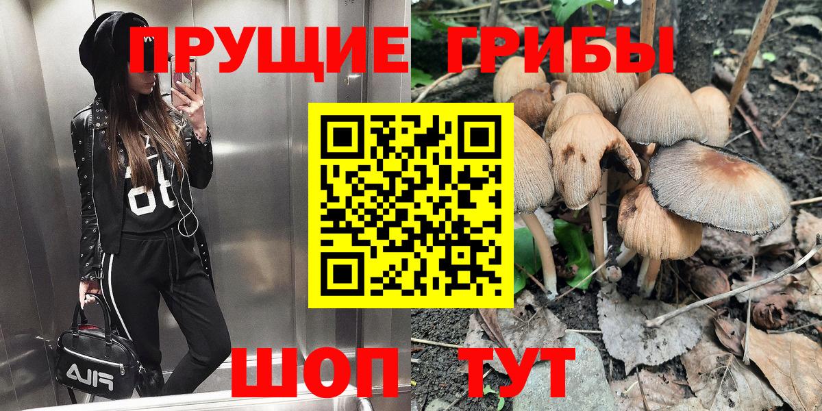 Электросталь  Галлюциногенные грибы мицелий  Вход с VPN  Псилоцибиновые грибы Psilocybe 